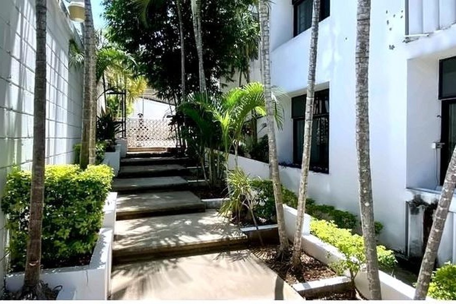 Entrada del edificio con palmas tropicales y escalones